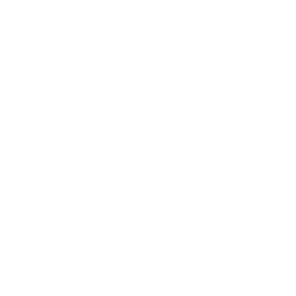 FIGHTENEER